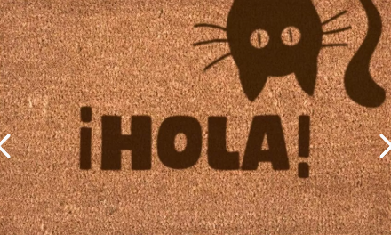 Choapino De Gato https://app.dropi.cl/dashboard/product-details/21791/limpiapie-choapino-gatos-40x60